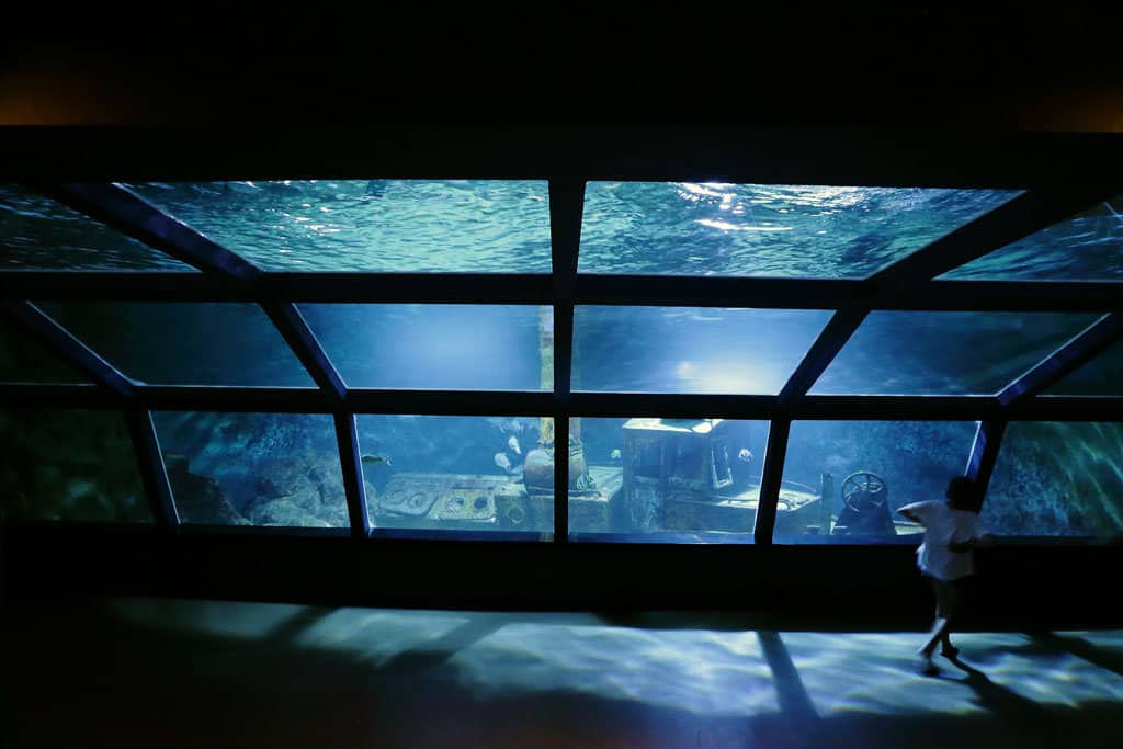 Photo of the Reunion Island Aquarium