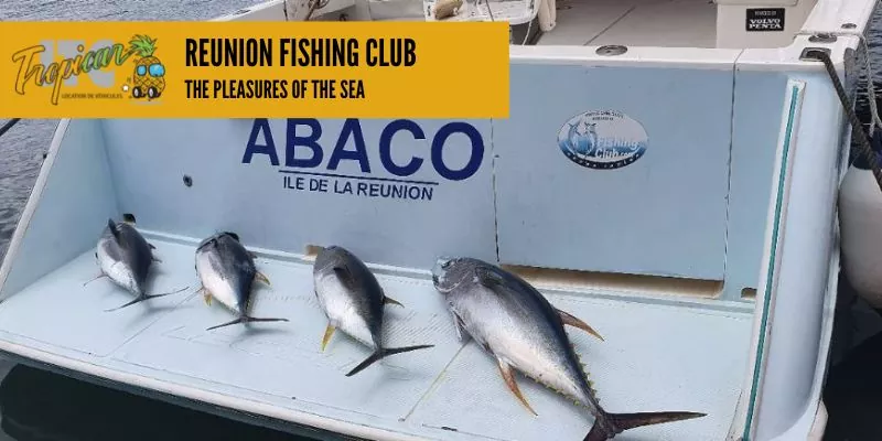 Appreciate the pleasures of fishing with professionals